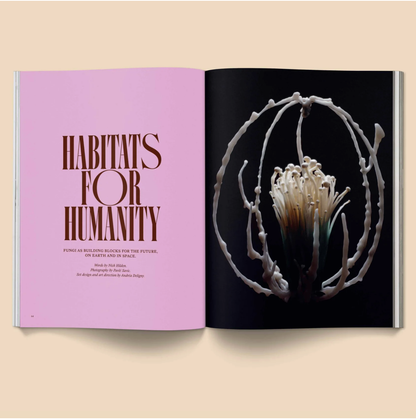 Mushroom People Magazine Volume 2