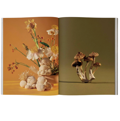 Open book showing two pages with floral and mushroom illustrations.