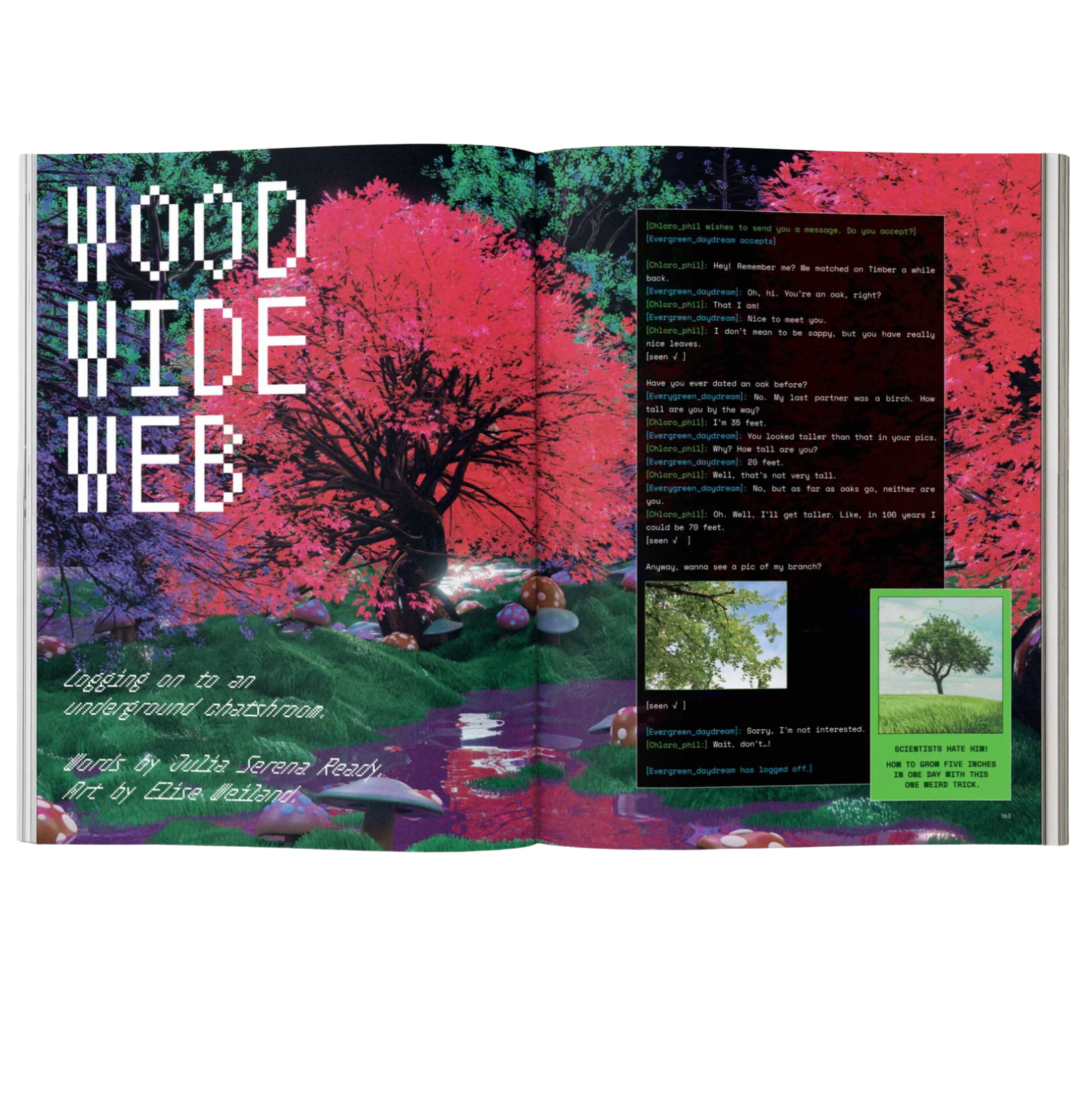 Open book with colorful illustration of a forest and text on a white background