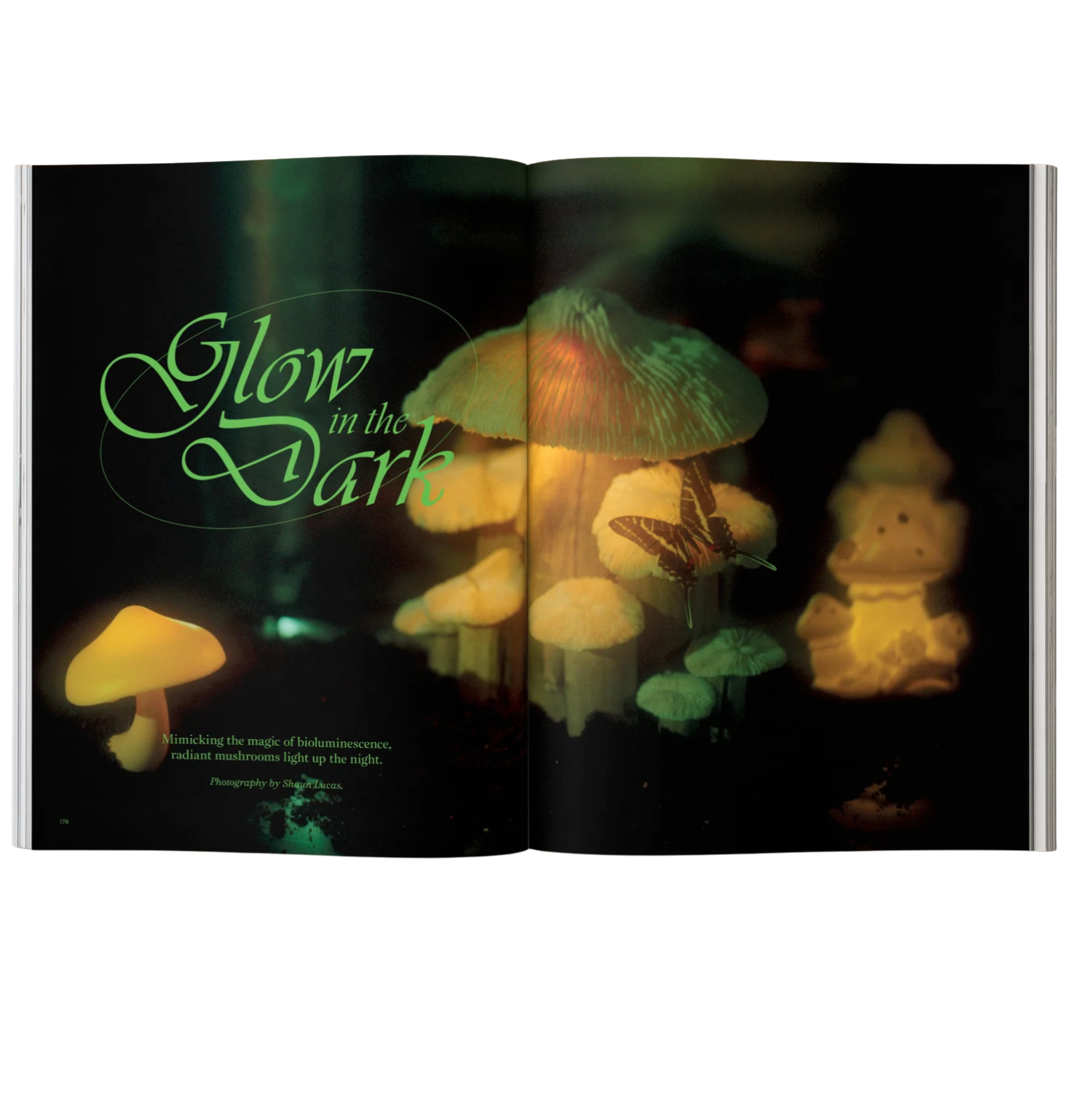 Open book showing glowing mushrooms with 'Glow in the Dark' text on a black background
