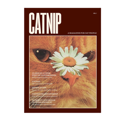 Catnip Magazine