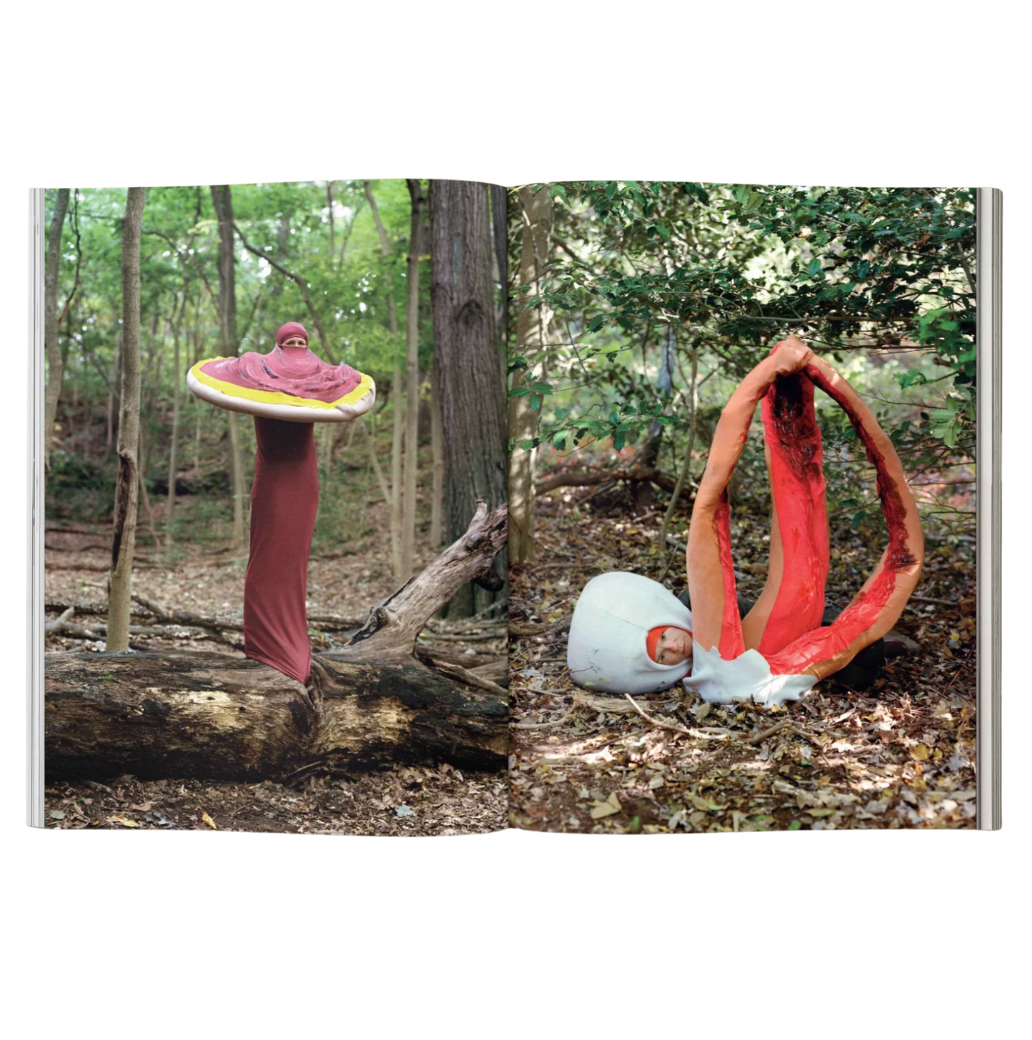 Mushroom People Magazine Volume 2