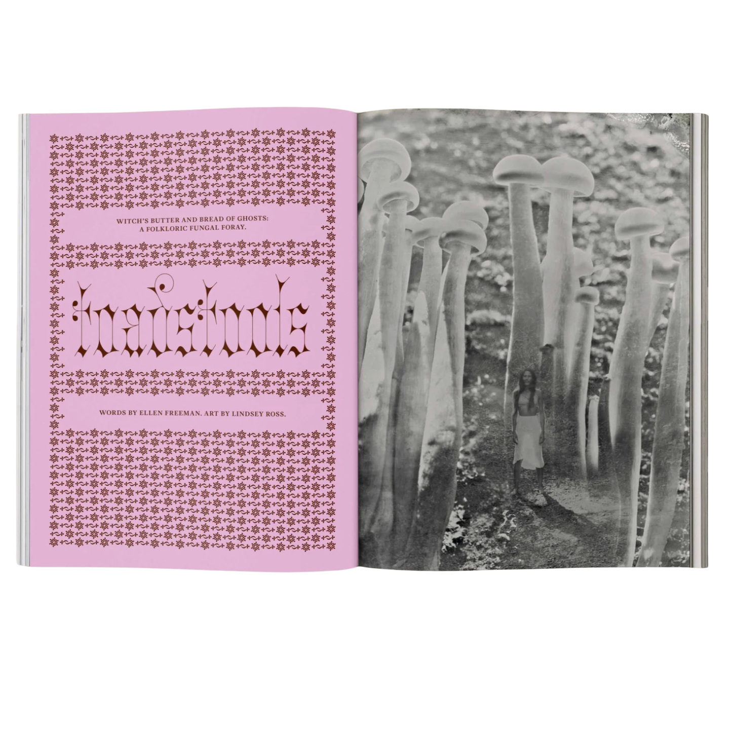 Book with pink cover featuring text and black and white photo of mushrooms