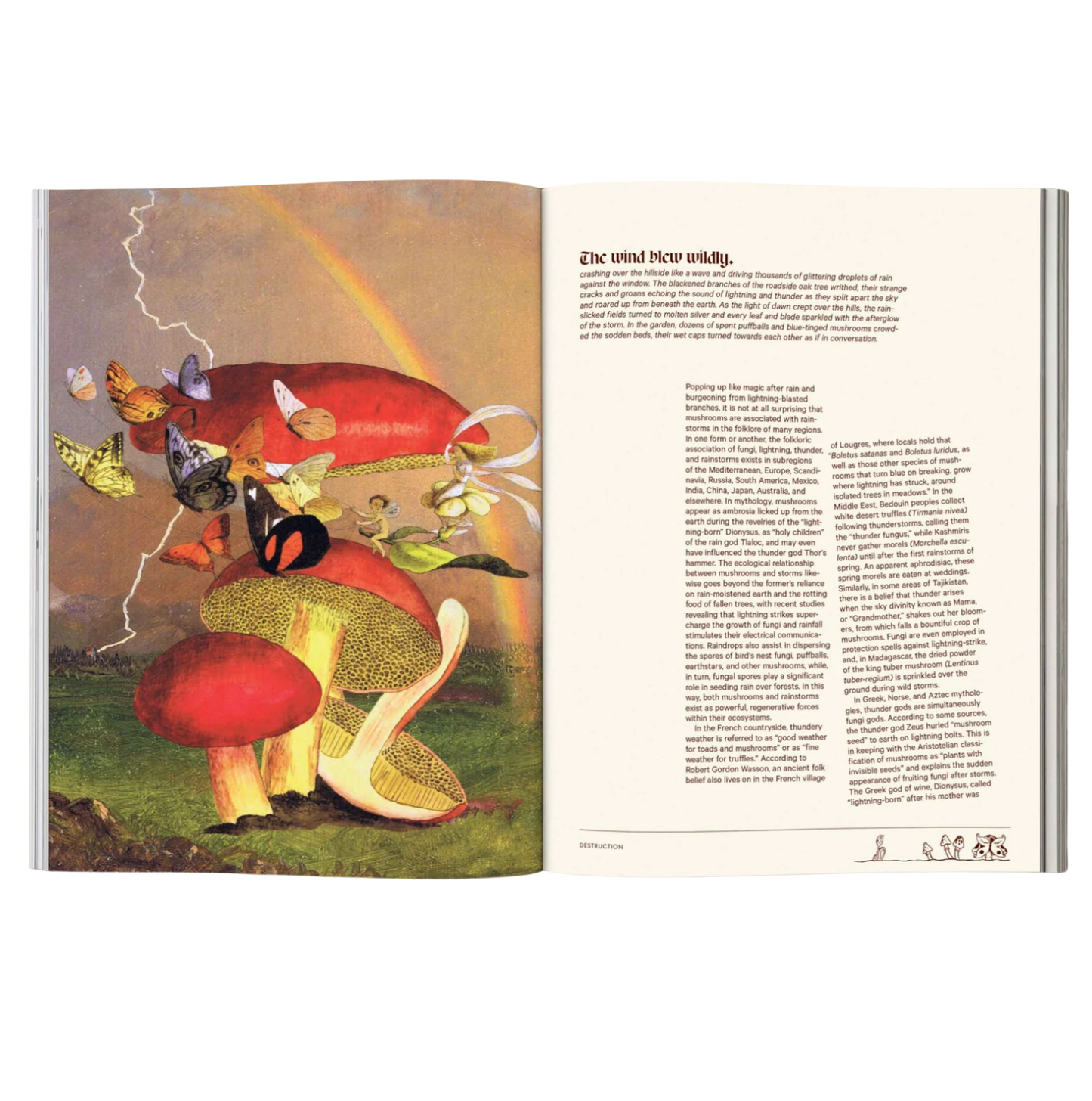 Mushroom People Magazine Volume 2