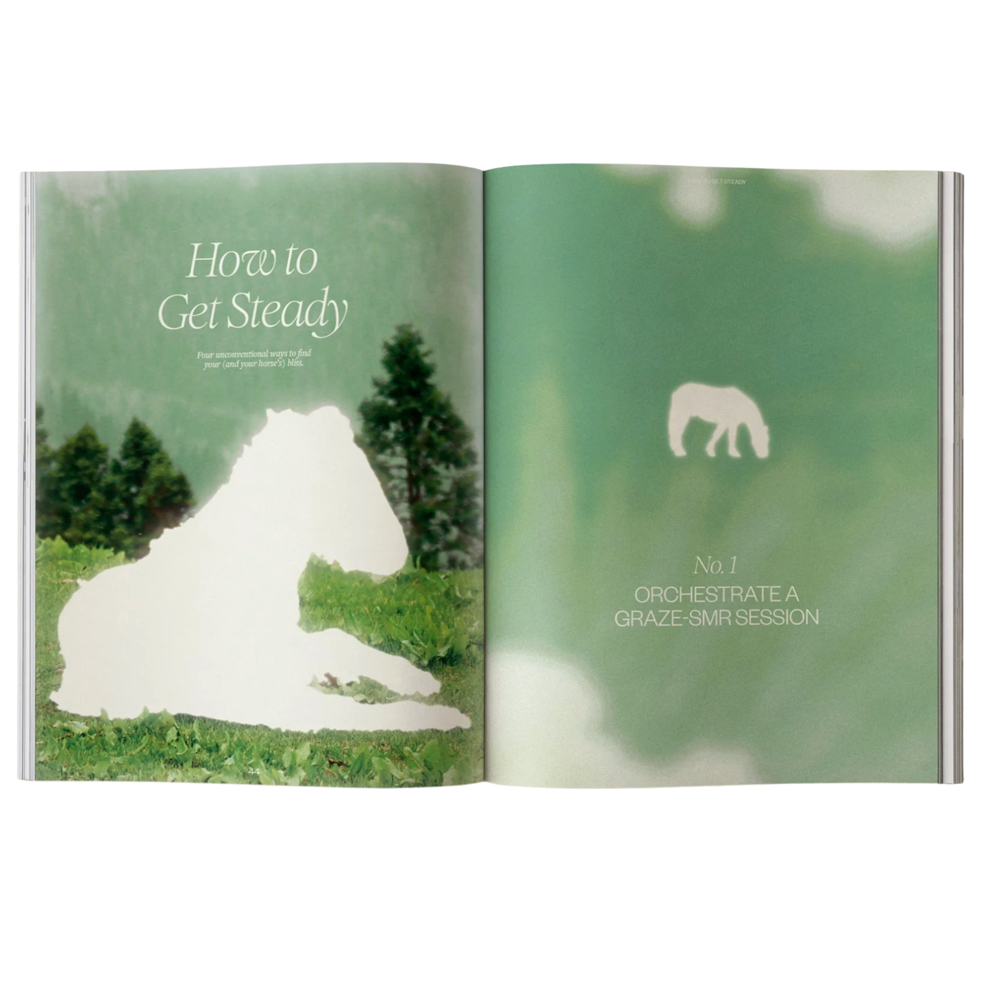 Calling All Horse Girls Vol 8