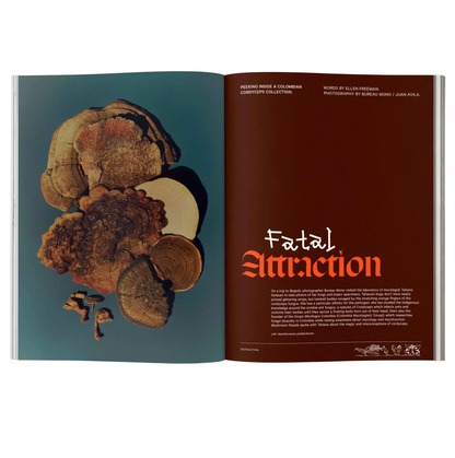 Mushroom People Magazine Volume 2