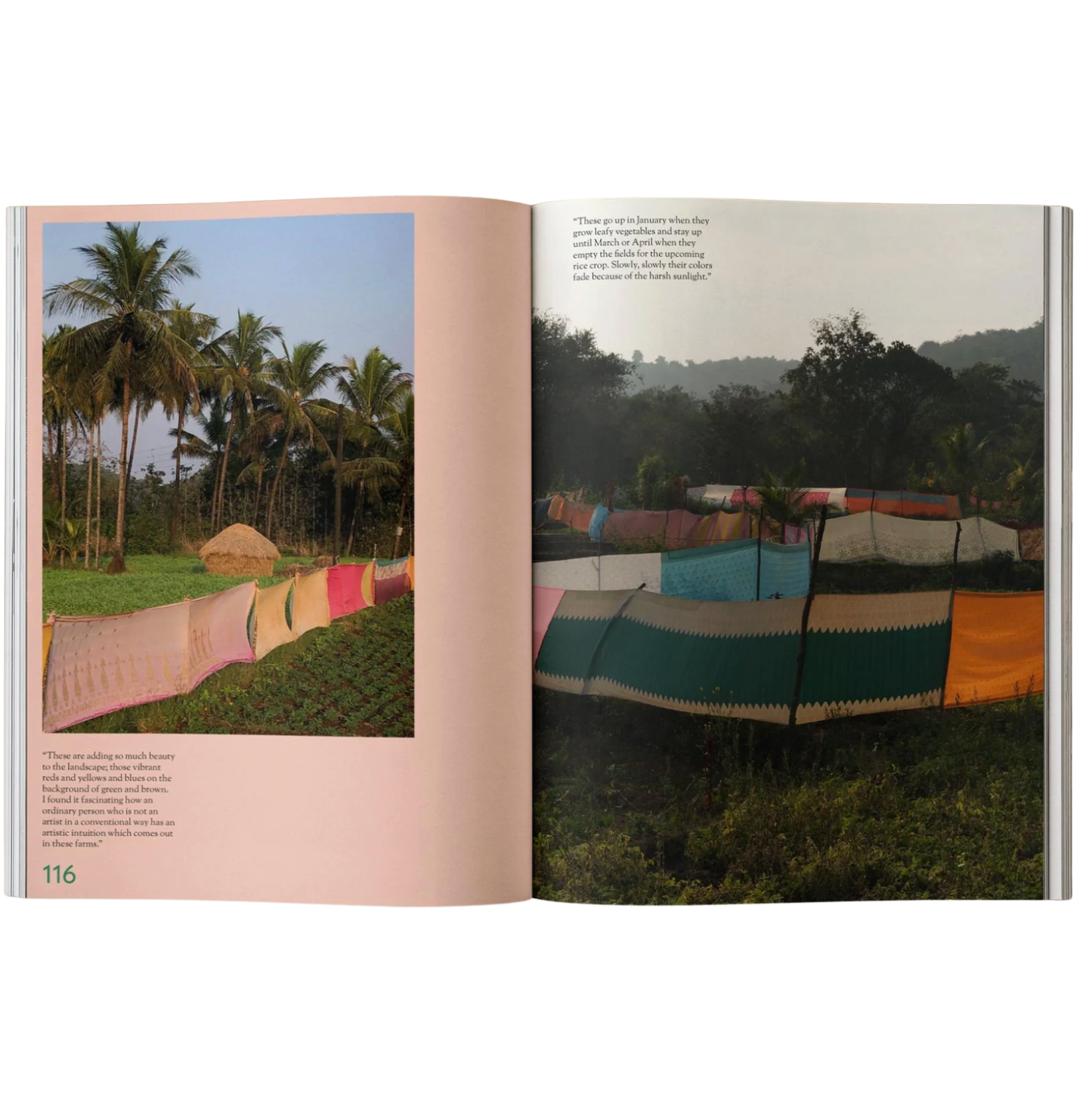 Mildew Magazine Issue 4