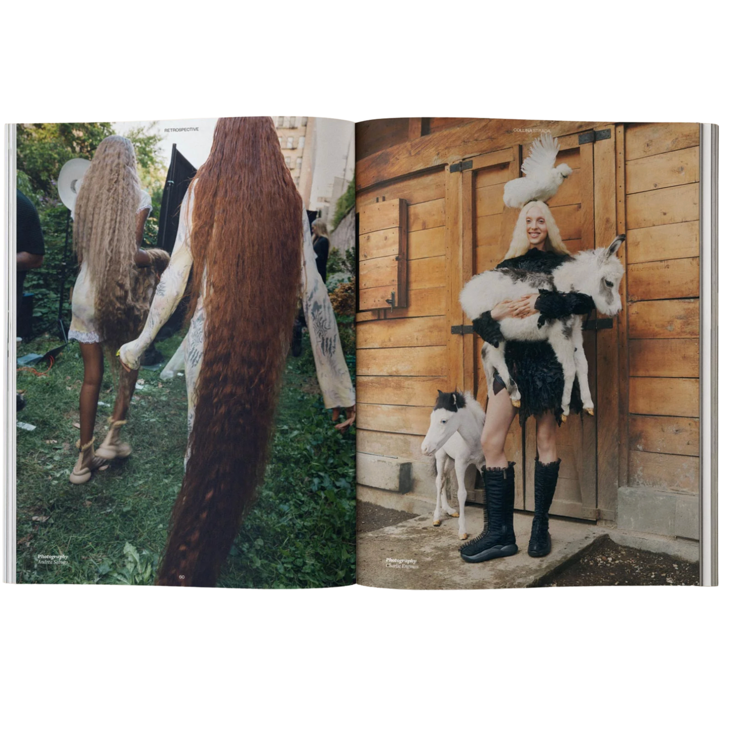 Calling All Horse Girls Vol 8