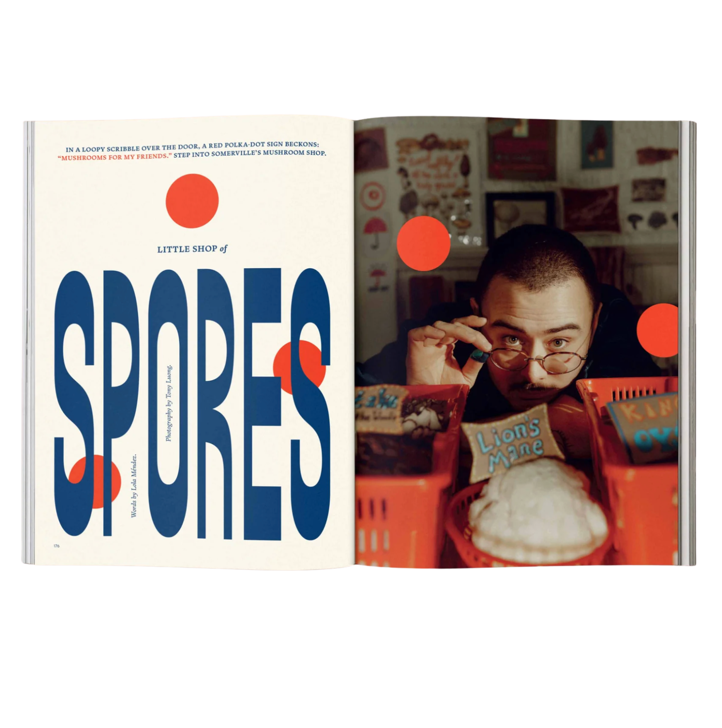 Mushroom People Magazine Volume 2