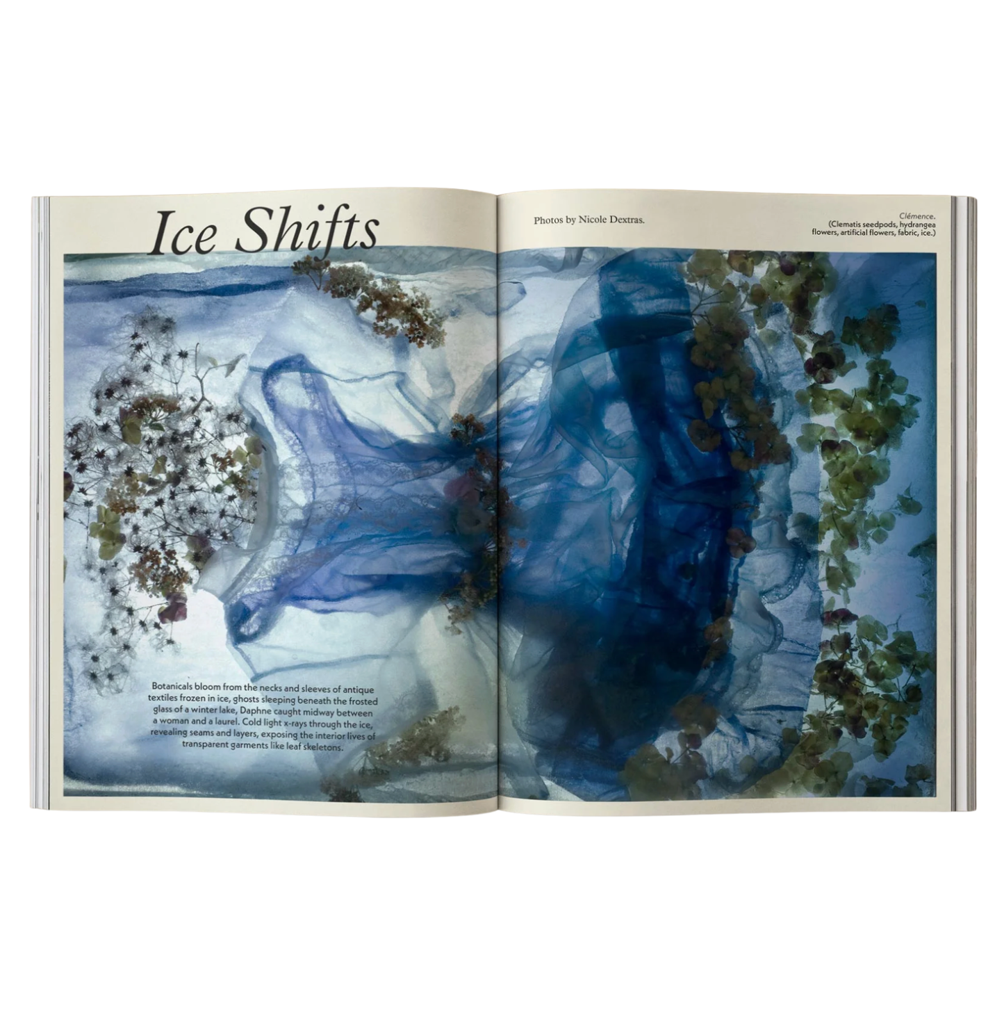 Mildew Magazine Issue 4