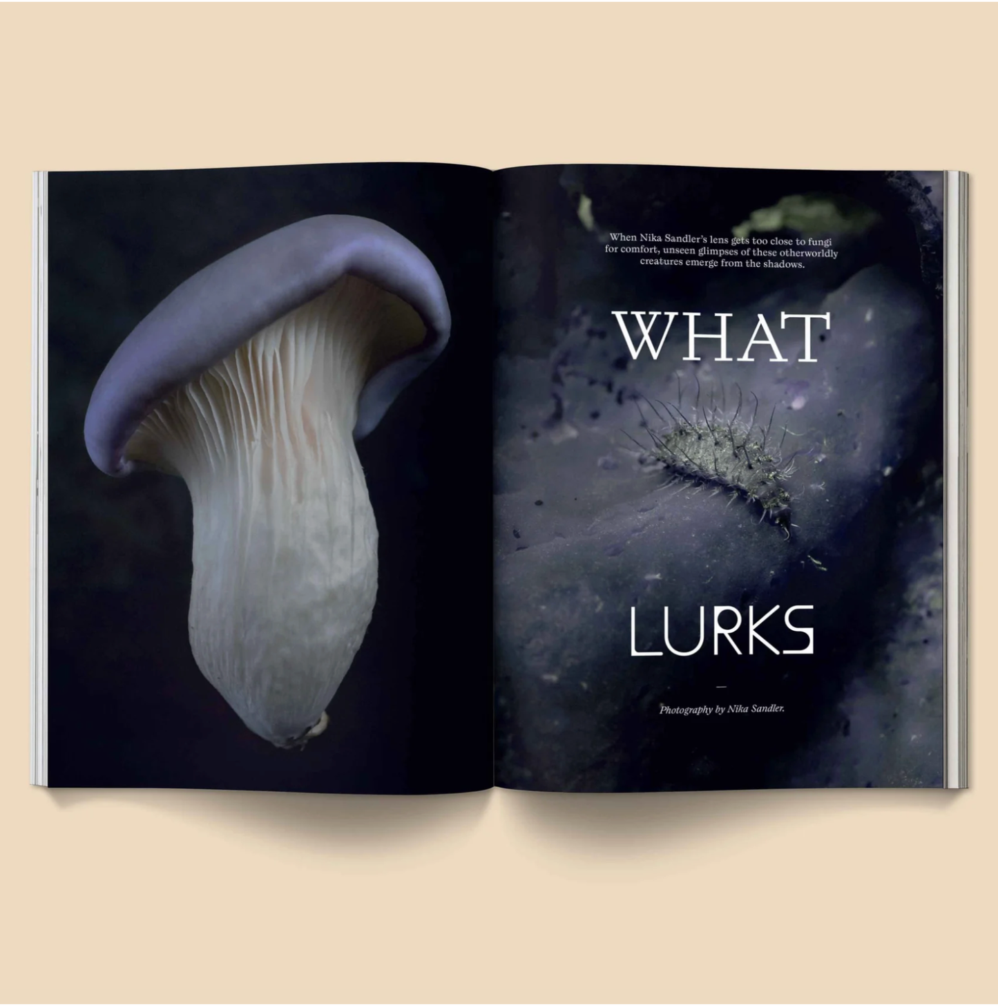 Mushroom People Magazine Volume 2