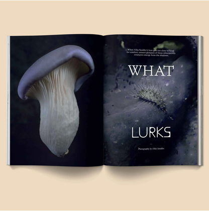 Mushroom People Magazine Volume 2