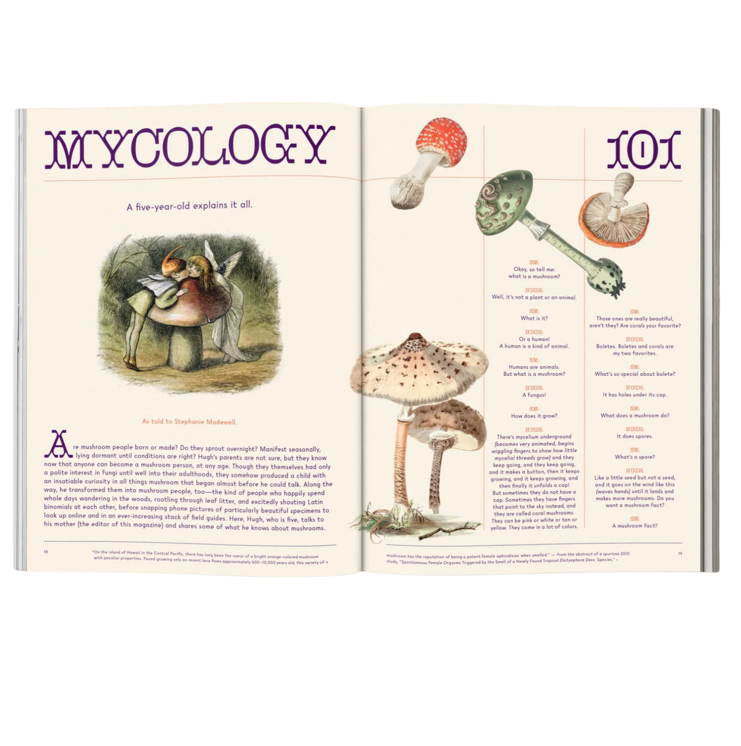 Open book with illustrations of mushrooms and text on a white background